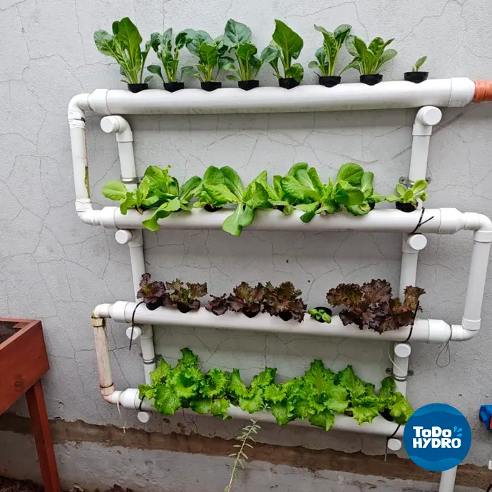 Nutrientes de cultivo