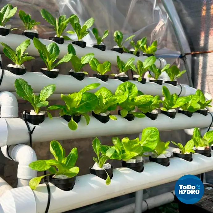 Huerta para hidroponía