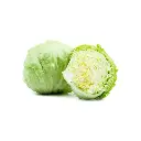 Lechuga Iceberg