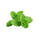 Menta