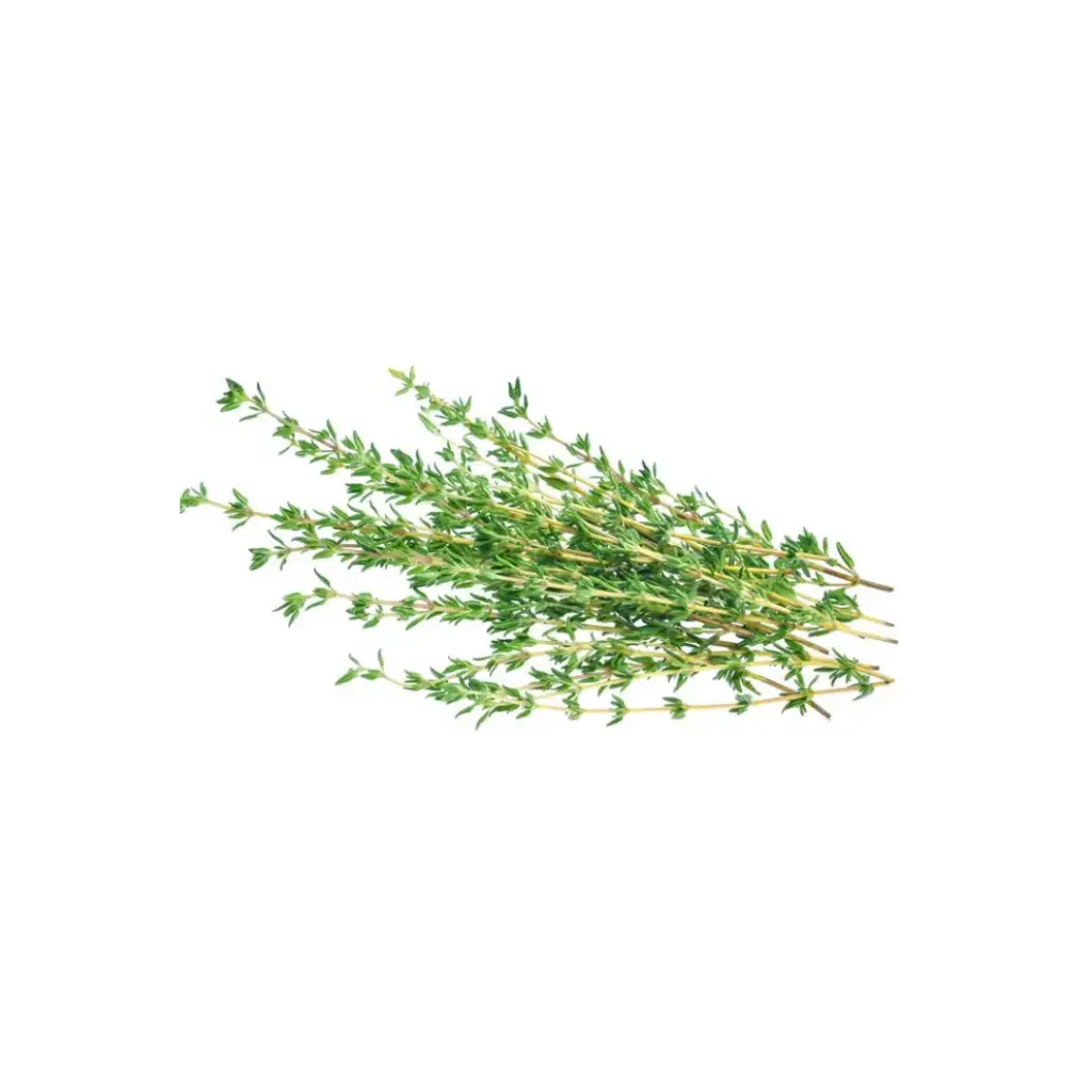 [SEED20] Tomillo